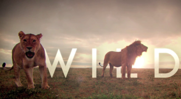 Secrets of the Wild