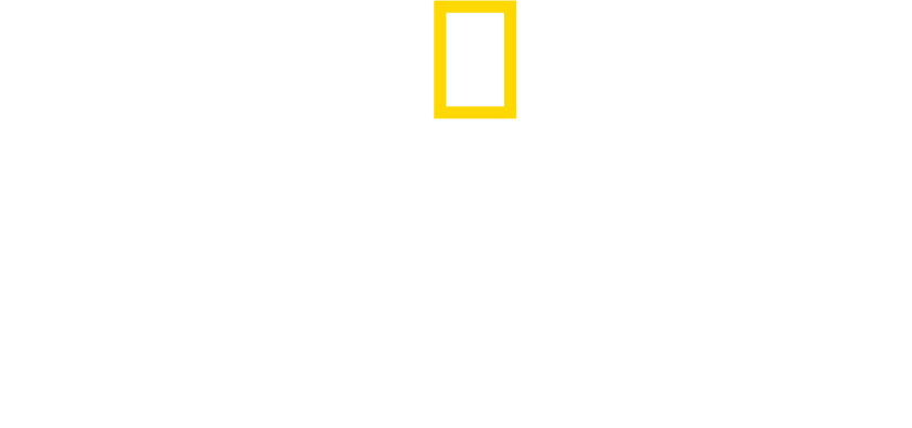 sharkfest logo nat geo
